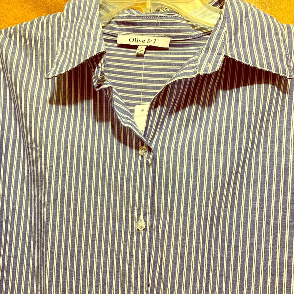 Blue and White Striped Blouse